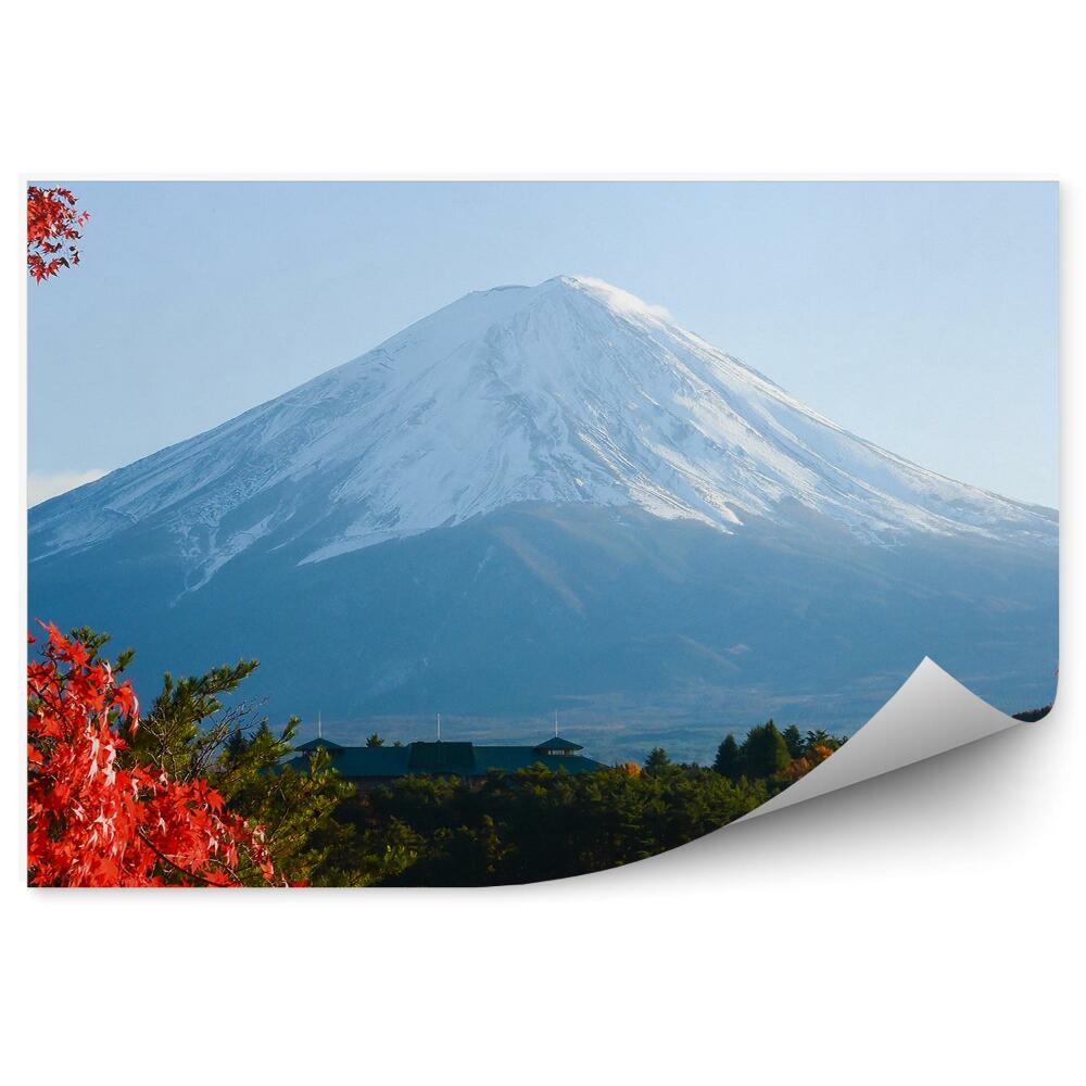 Okleina na ścianę Drzewo klonu natura niebo jesień góra fudżi jezioro