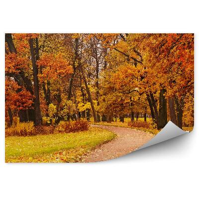 Fototapeta na ścianę Kolorowy jesienny park drzewa ścieżka