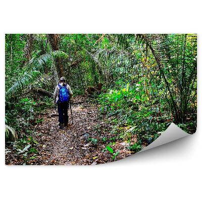 Okleina ścienna Podróżnik dżungla turystyka liście zieleń