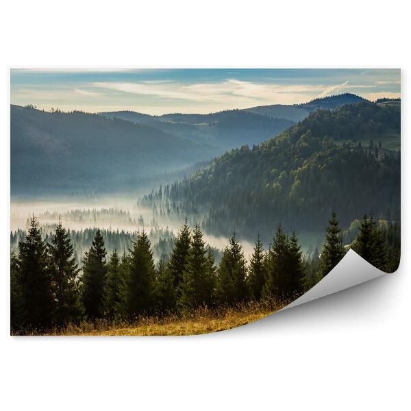 Fototapeta Iglasty las w mglistych górach o wschodzie słońca