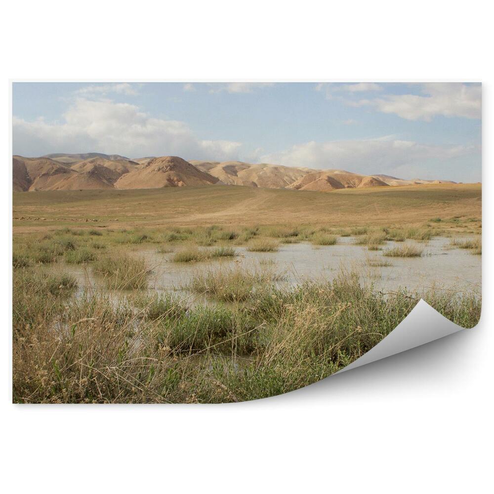 Okleina ścienna Pustynia trawa jezioro góry niebo chmury