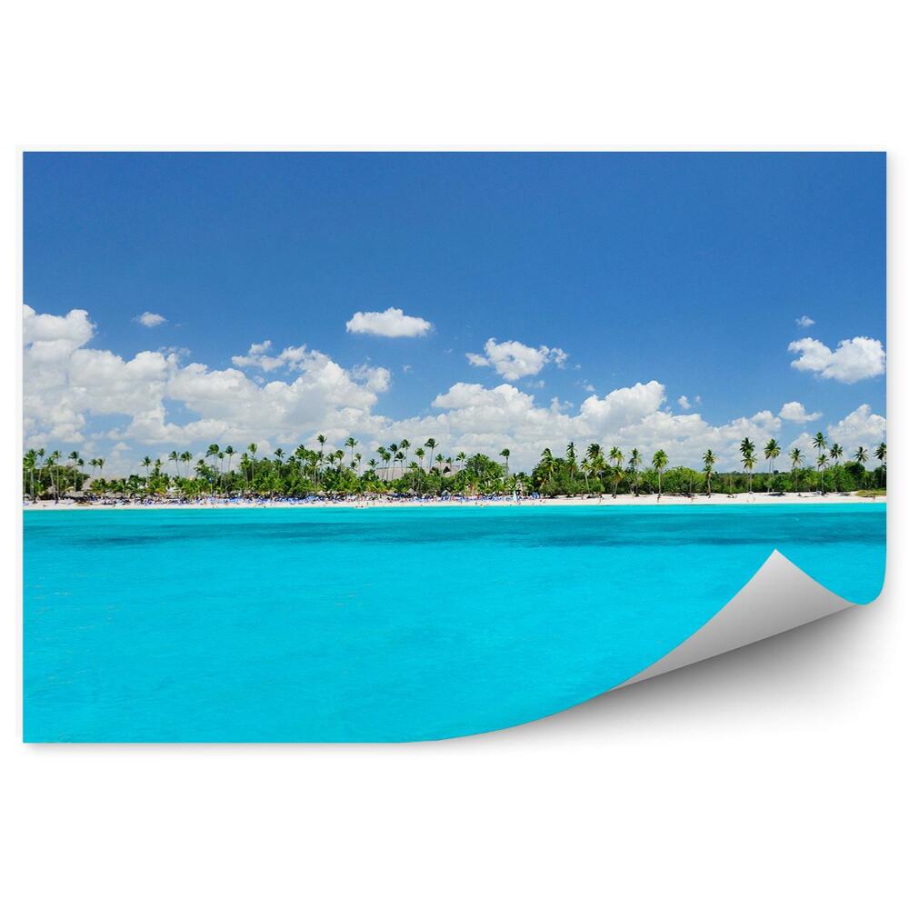 Okleina ścienna Palmy morze karaibskie plaża niebo chmury