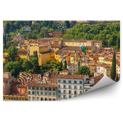 Fototapeta Oltrarno fort Belvedere Florencja drzewa rośliny