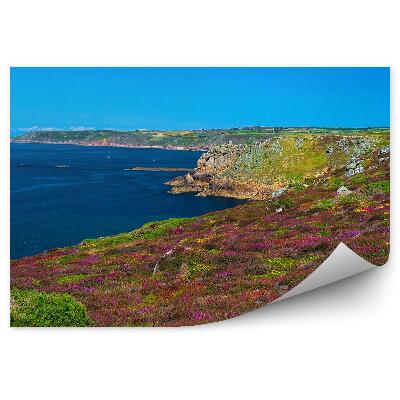 Okleina ścienna Kornwalia anglia góry skały kolorowe rośliny ocean niebo