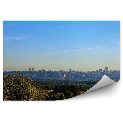 Okleina ścienna Wieżowce budynki drzewa rośliny niebo chmury madryt