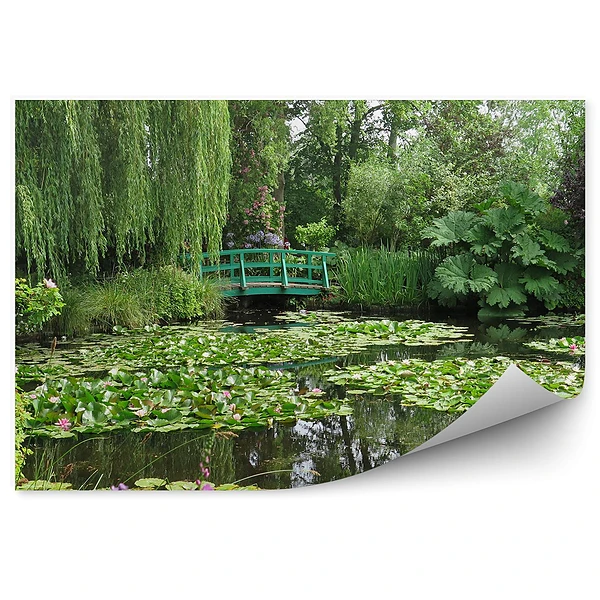 Okleina ścienna Zieleń roślinność park most nad wodą lilie wodne