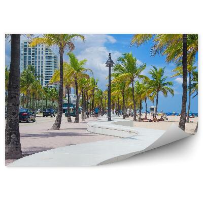 Fototapeta Palmy wieżowiec samochody ludzie plaża murek