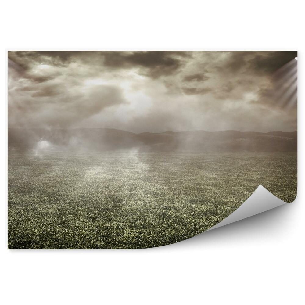 Fototapeta samoprzylepna Łąka we mgle