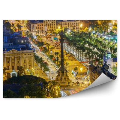 Fototapeta Barcelona widok z lotu ptaka światła drzewa budynki