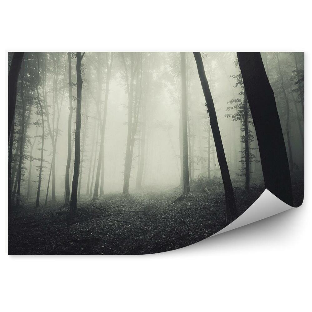 Okleina ścienna Mglisty las sepia