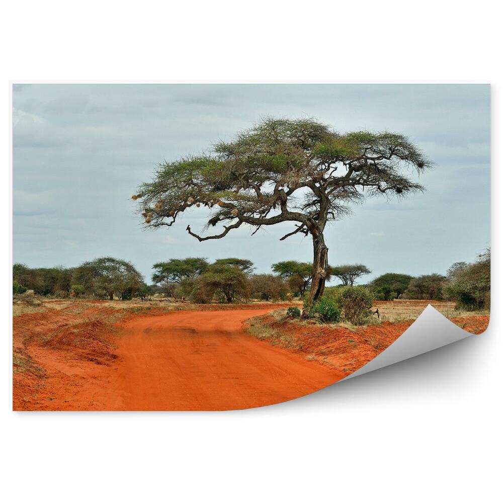 Okleina na ścianę drzewa sawanna Tsavo droga niebo