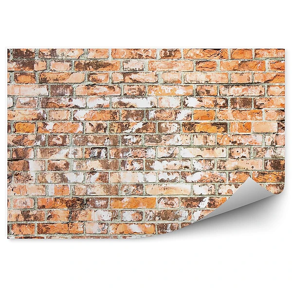 Fototapeta samoprzylepna Stary mur w toskanii