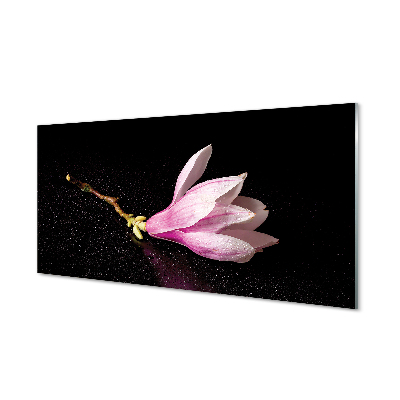 Obraz na szkle Kwiat Magnolii na czarnym tle
