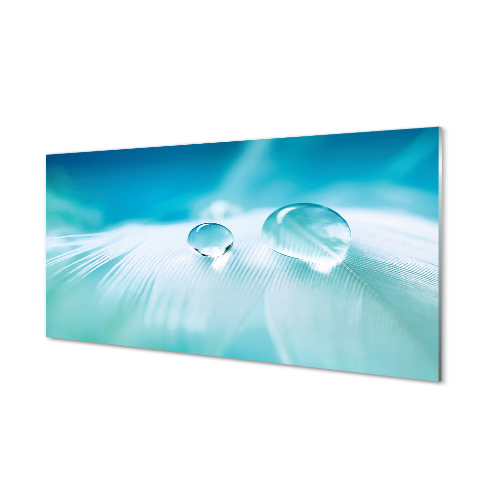 Obraz na szkle Krople wody na piórku