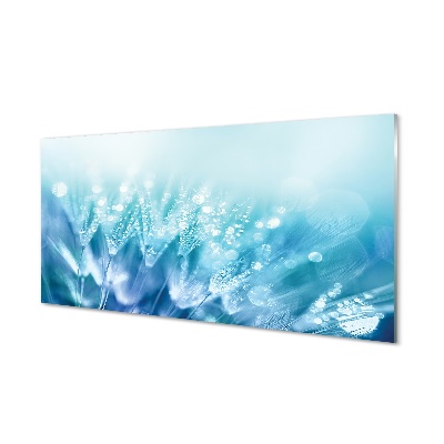 Obraz na szkle Krople dmuchawce niebieskie tło