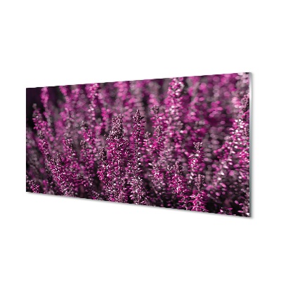 Obraz na szkle Różowe kwiaty wrzosu