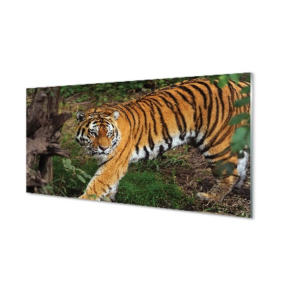 Obraz na szkle Tygrys podczas polowania