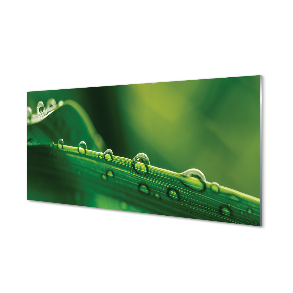 Obraz na szkle Krople trawa zbliżenie