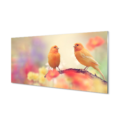 Obraz na szkle Dwie papugi na rozmytym tle