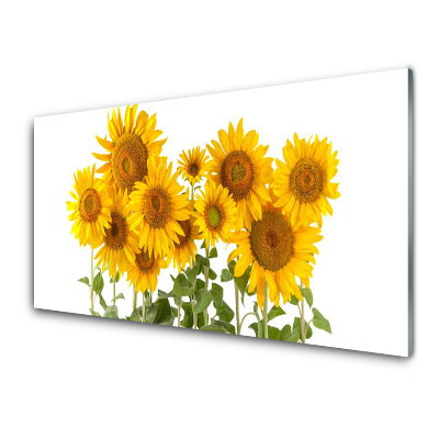 Obraz na Szkle Słoneczniki Kwiaty