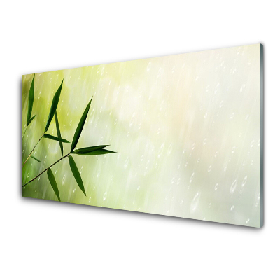 Obraz na Szkle Liście Deszcz