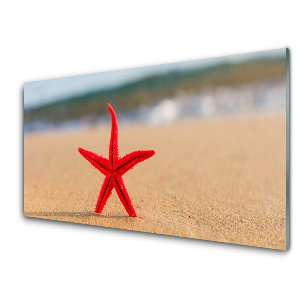 Obraz na Szkle Plaża Rozgwiazda Woda