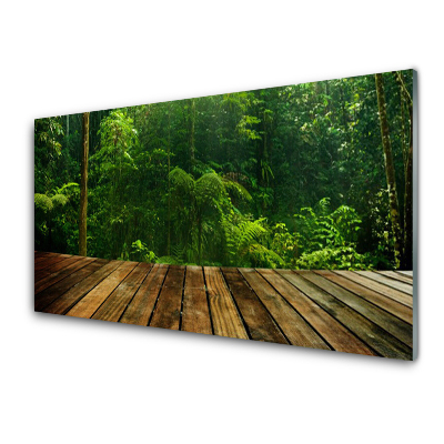 Obraz na Szkle Las Natura Roślina