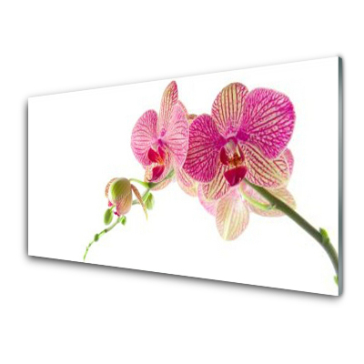 Obraz na Szkle Kwiaty Roślina