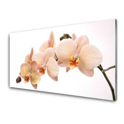 Obraz na Szkle Kwiaty Roślina