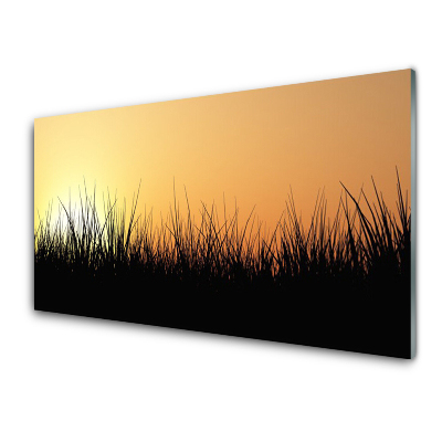 Obraz na Szkle Czarna Trawa Zachód
