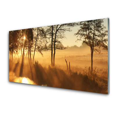 Obraz na Szkle Łąka z drzewami