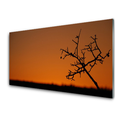 Obraz na Szkle Kontur drzewa zachód