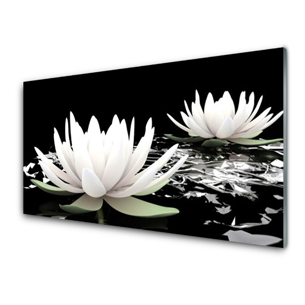 Obraz na Szkle Dwie lilie wodne