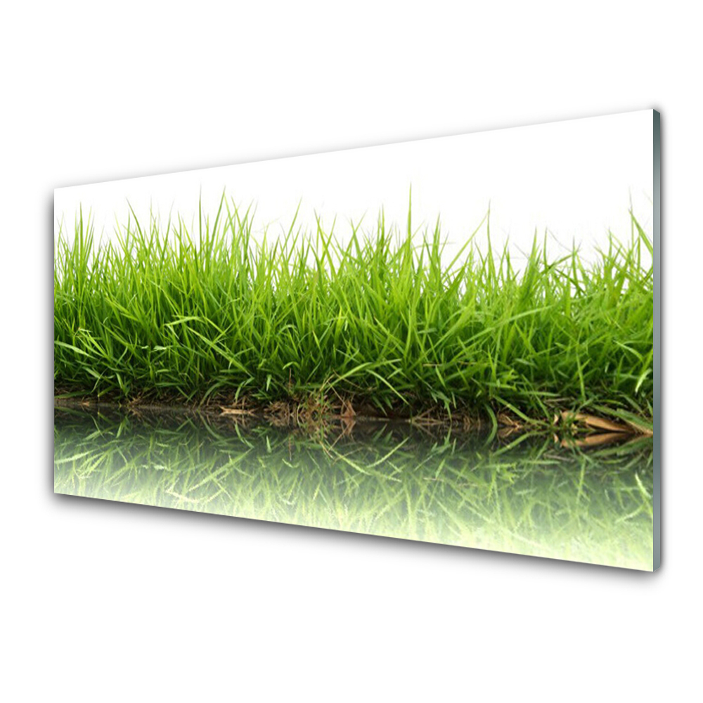 Obraz na Szkle Trawa odbita od powierzchni