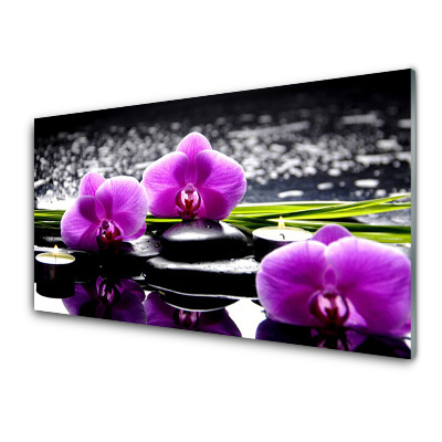Obraz na Szkle Purpurowe storczyki na kamieniach