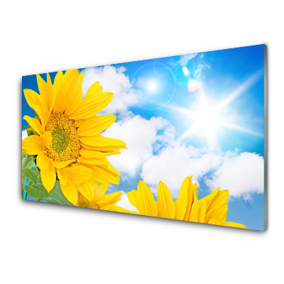 Obraz na Szkle Zbliżenie na Żółte kwiaty niebo