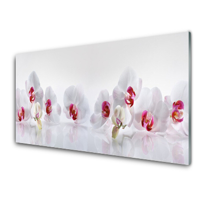 Obraz na Szkle Białe storczyki