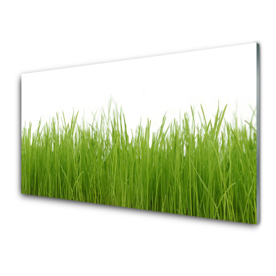 Obraz Szklany Młoda trawa Roślina Natura