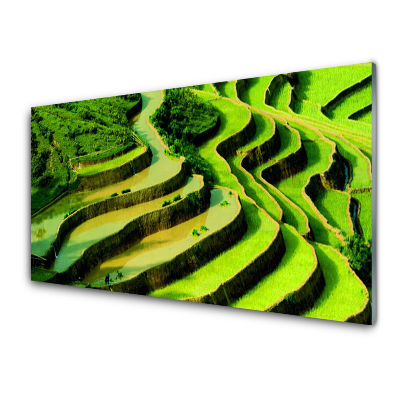 Obraz Szklany Pola ryżowe Pejzaż