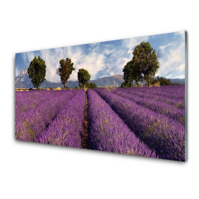 Obraz Szklany Pole lawendy i drzewa