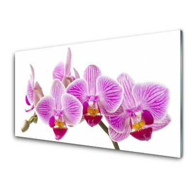 Obraz Szklany Różowe storczyki