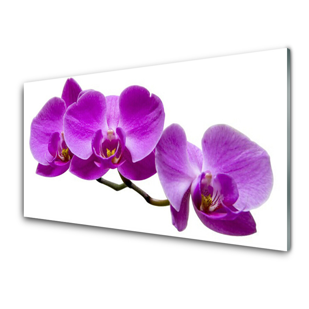 Obraz Szklany Trzy Fioletowe orchidee
