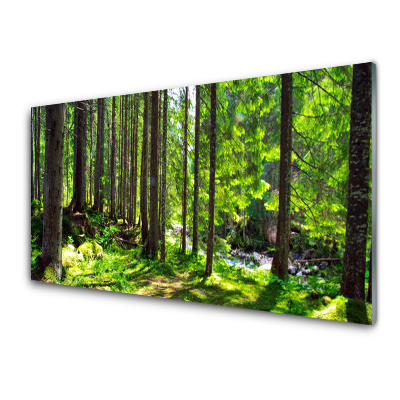 Obraz Szklany Zielony las drzewa natura