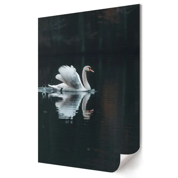 Plakat na materiale polycanvas Elegancja łabędzia na spokojnej wodzie