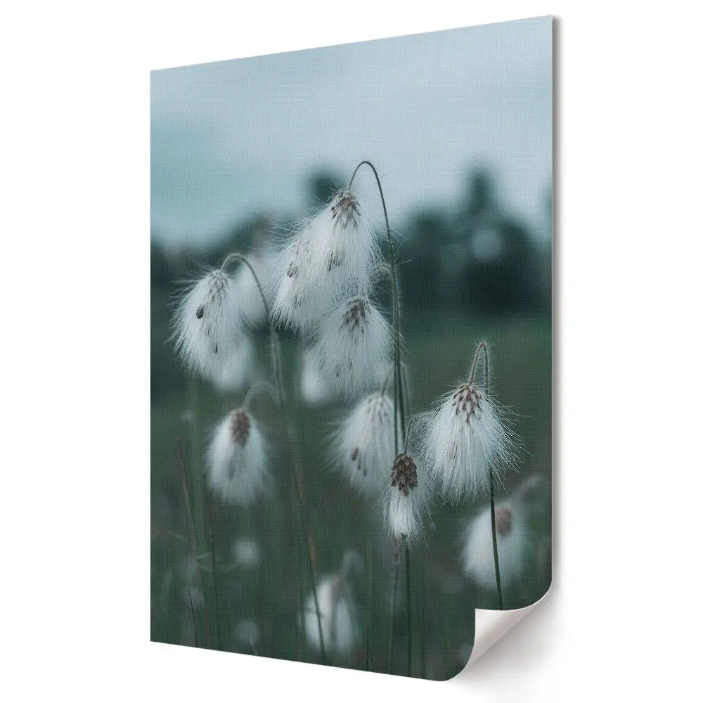 Plakat na materiale polycanvas Delikatne kwiaty w zimowej szacie