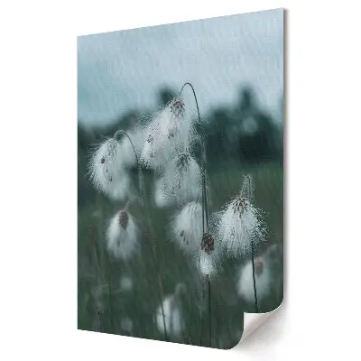 Plakat na materiale polycanvas Delikatne kwiaty w zimowej szacie
