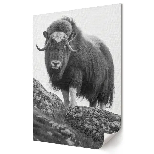 Plakat na materiale polycanvas wół piżmowy Majestic Mountain Guardian