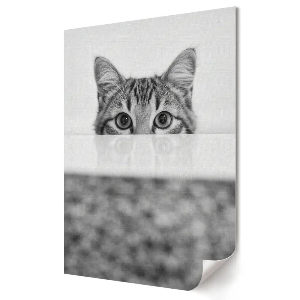 Plakat na materiale polycanvas Zagubione spojrzenie kota w cieniu