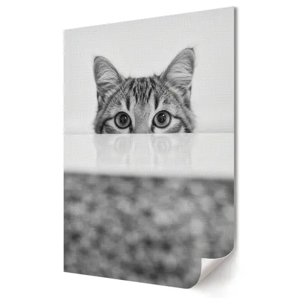 Plakat na materiale polycanvas Zagubione spojrzenie kota w cieniu