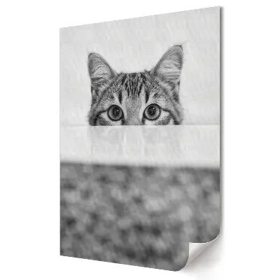 Plakat na materiale polycanvas Zagubione spojrzenie kota w cieniu